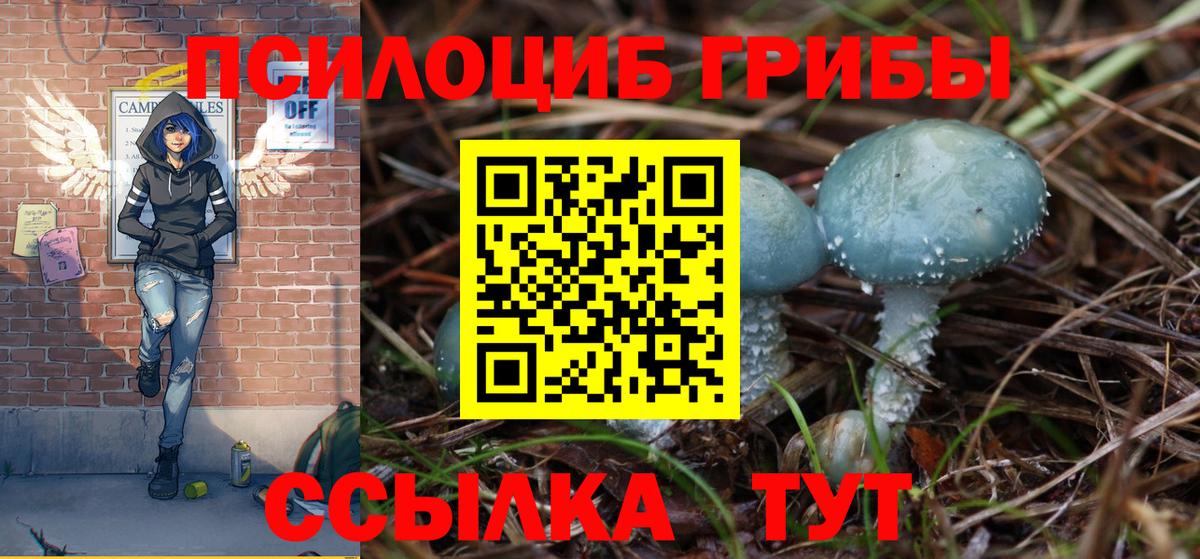 Моздок  Псилоцибиновые грибы GOLDEN TEACHER  Псилоцибиновые грибы мухоморы  Вход с VPN 